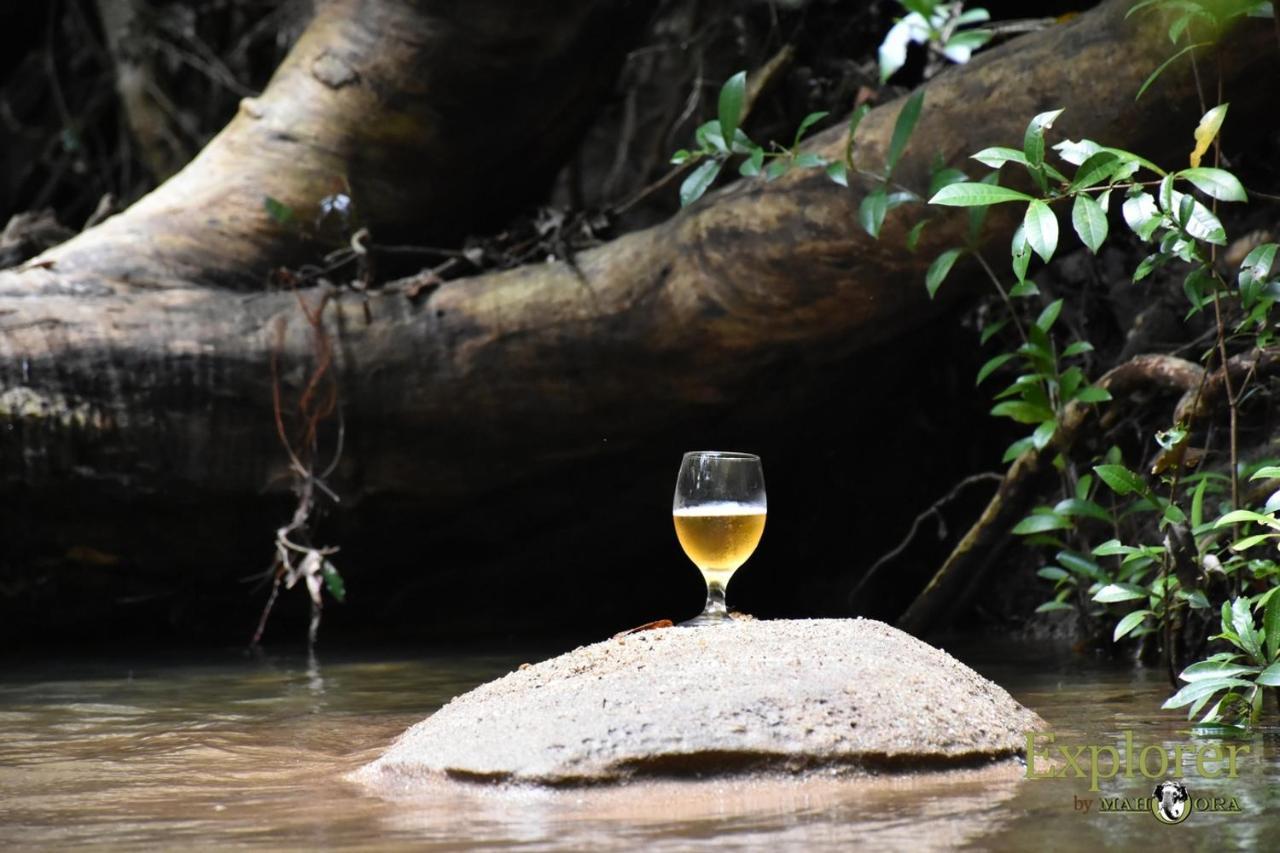 Explorer By Eco Team - Wasgamuwa National Park Exterior photo