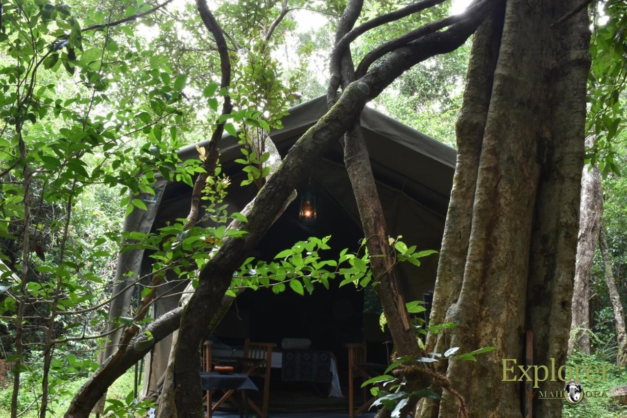 Explorer By Eco Team - Wasgamuwa National Park Exterior photo