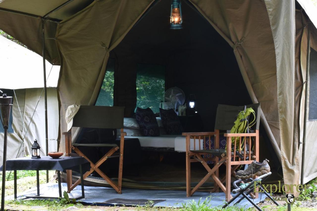 Explorer By Eco Team - Wasgamuwa National Park Exterior photo