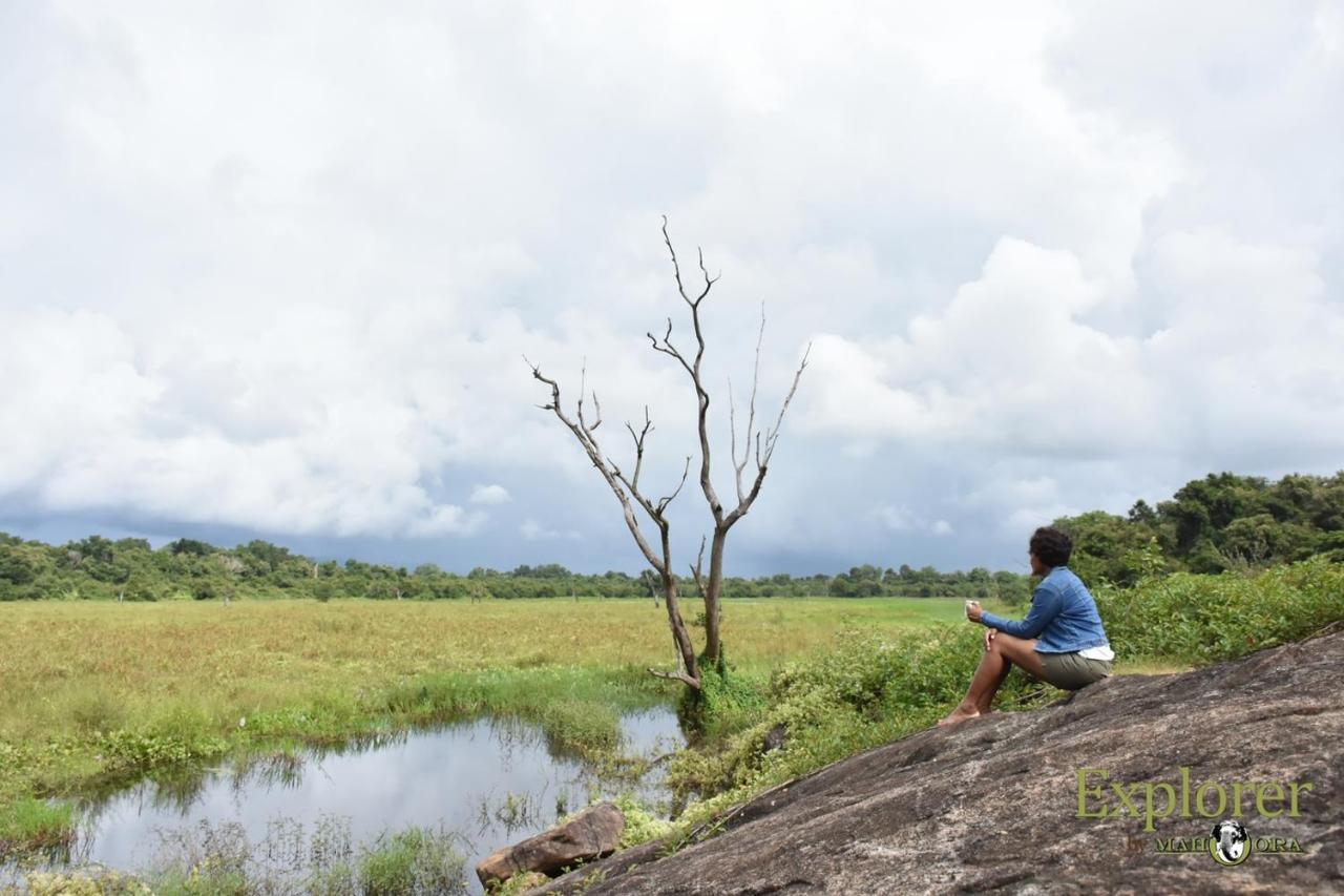 Explorer By Eco Team - Wasgamuwa National Park Exterior photo