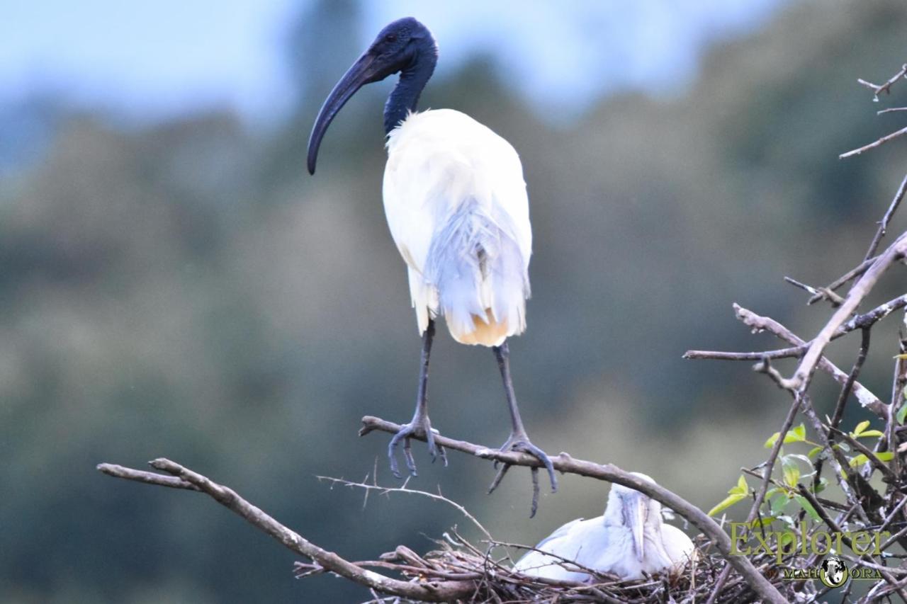 Explorer By Eco Team - Wasgamuwa National Park Exterior photo